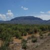 Riverview/Road Frontage Texas Rio Grande 10 Acre Southeast Hudspeth County Lot #1 - Image 12