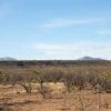 Riverview/Road Frontage Texas Rio Grande 10 Acre Southeast Hudspeth County Lot #1 - Image 2