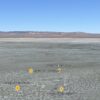 Old Railroad Grade Road Area 1/4 Acre Box Elder Utah Lot Near Thousands of Acres of Public Lands - Image 14